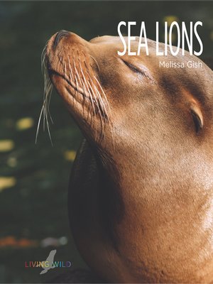 cover image of Sea Lions